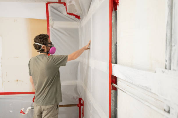 Best Forensic Mold Investigation  in Audubon, NJ