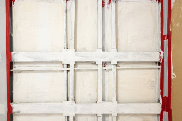 Audubon, NJ Mold Removal Company