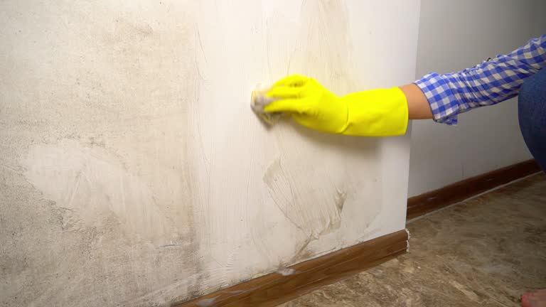 Best Water Damage & Mold Remediation  in Audubon, NJ